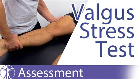 Sep 1, 2003 · Valgus stress testing of the knee flexed to 30 degrees reproduces the pain (see text and Figure 4 in part I of this article 1). A clearly defined end point on valgus stress testing indicates a ... 